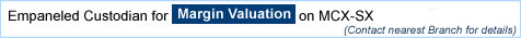 margin valuation Info